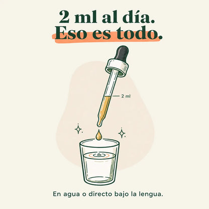 BerbaDrops ES